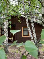 Лесной домик, Гостевой дом НиКиТа, Папушево
