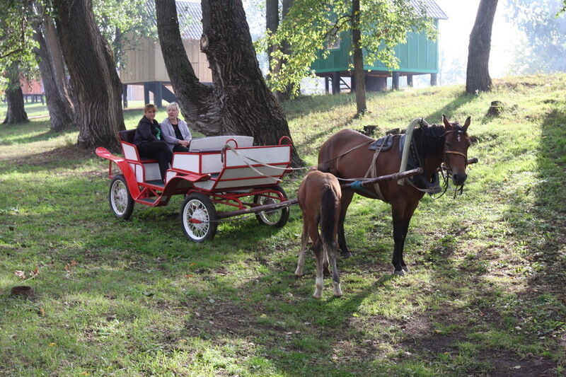 Фото девушек на высоких сапогах Фото девушек на высоких сапогах