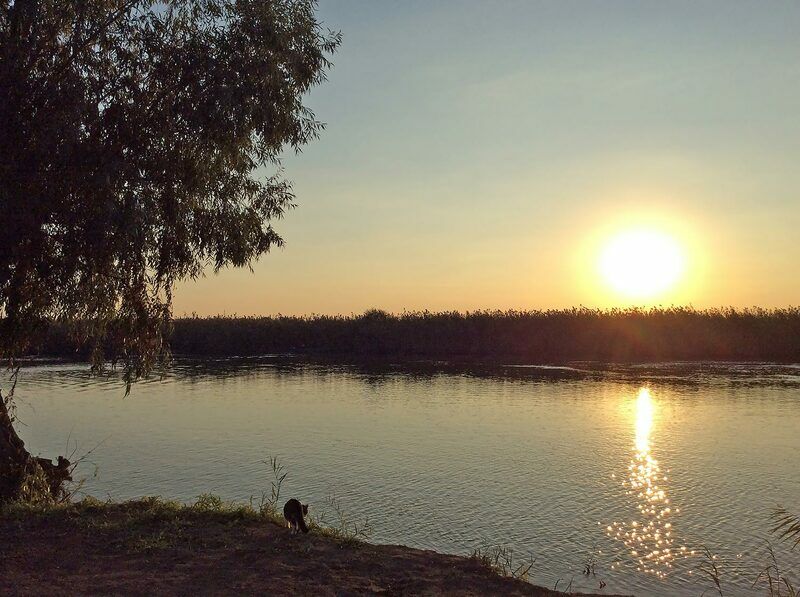 Рыбоход, Астраханская область: фото 5