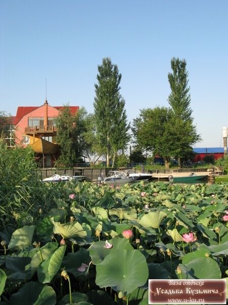 Усадьба Кузьмича, Астраханская область: фото 4