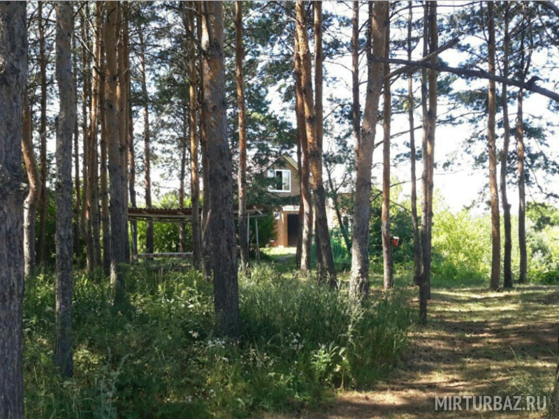 База отдыха Лесное озеро, Ишимбайский, Республика Башкортостан