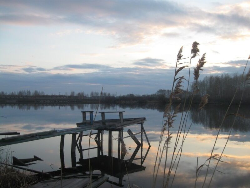 У озера, Новосибирская область: фото 3