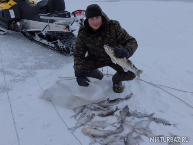 погода клева в череповце погода клева в череповце