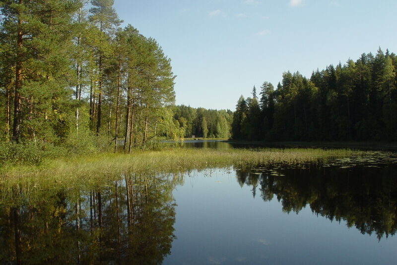 Озеро | Дом Шекалова, Архангельская область