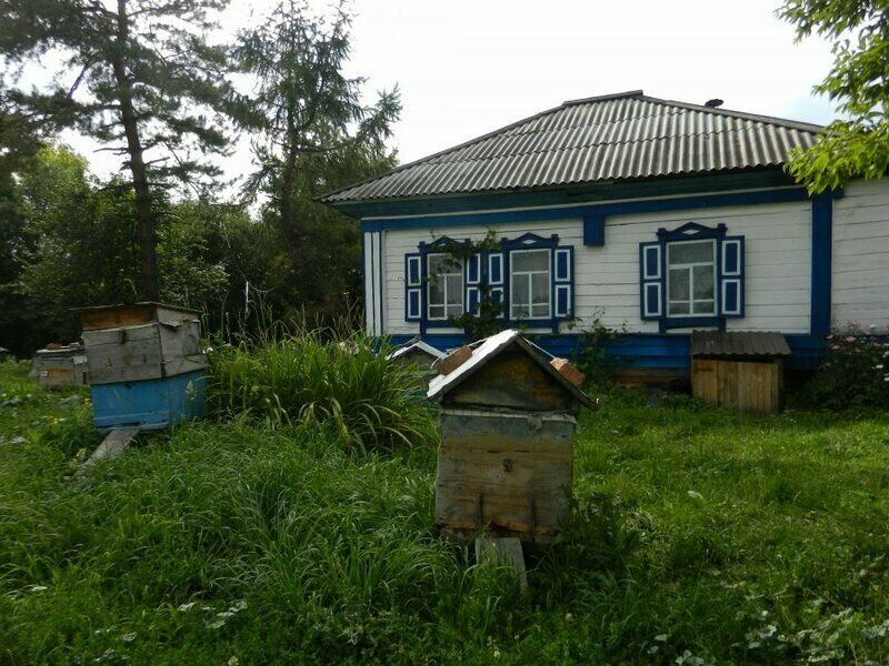 Гостевой дом Красногорье, Новозыково, Алтайский край