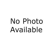 Охота на кабана в Тверской области