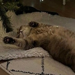 Нина Сергеевна