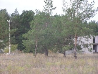 База отдыха «Связист»