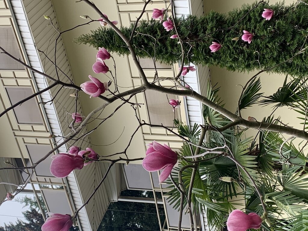 Фото из отзыва от 18.03.2023