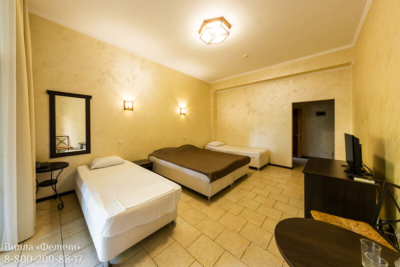 Полулюкс 2-местный 1-комнатный (выход на бассейн, 1 этаж)