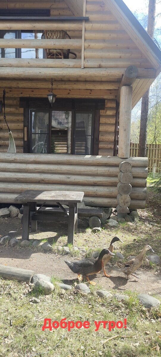 Фото 4 из отзыва о базе отдыха Коробок-Хуторок