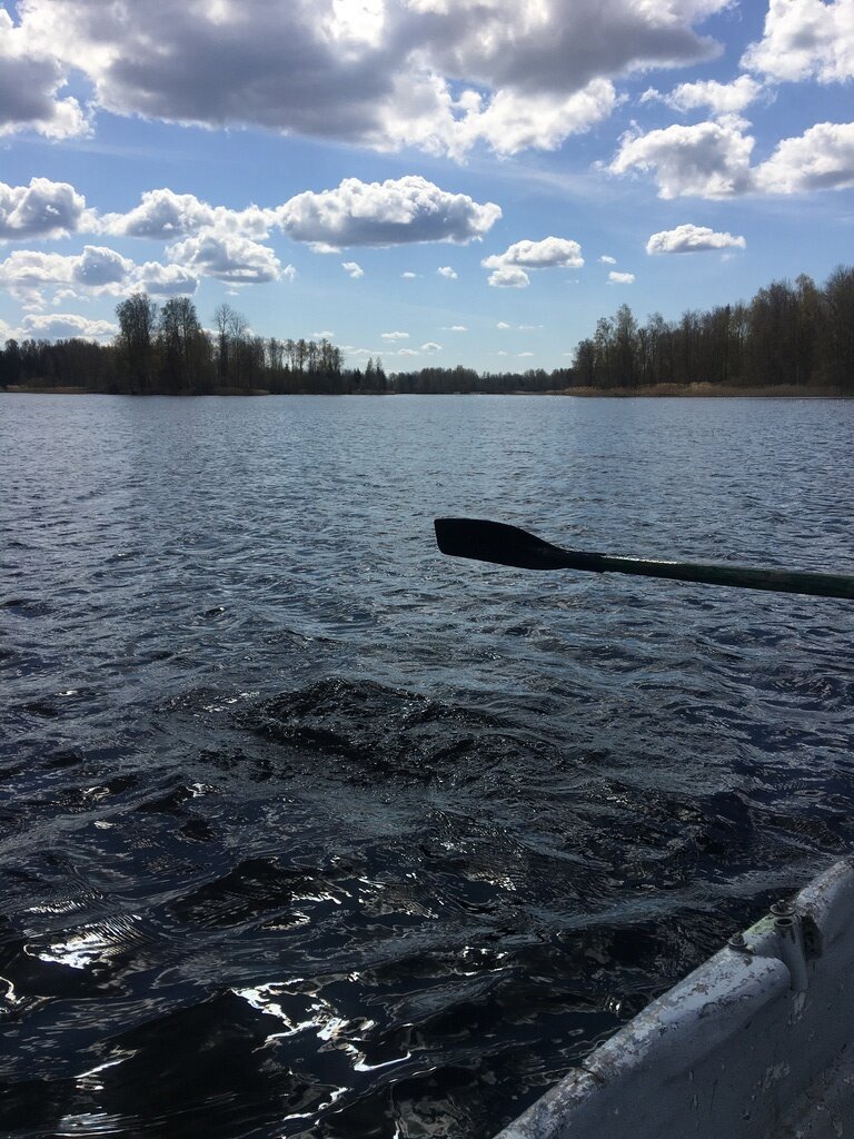 Фото из отзыва от 06.05.2023