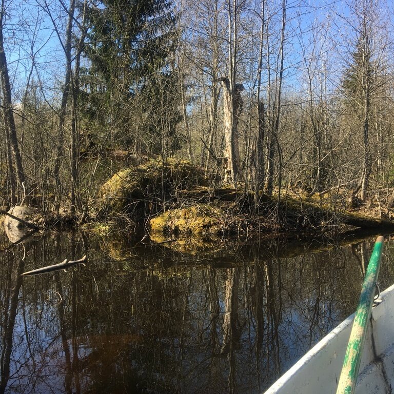 Фото из отзыва от 06.05.2023