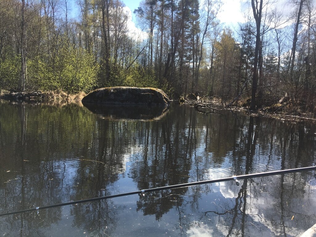 Фото из отзыва от 06.05.2023