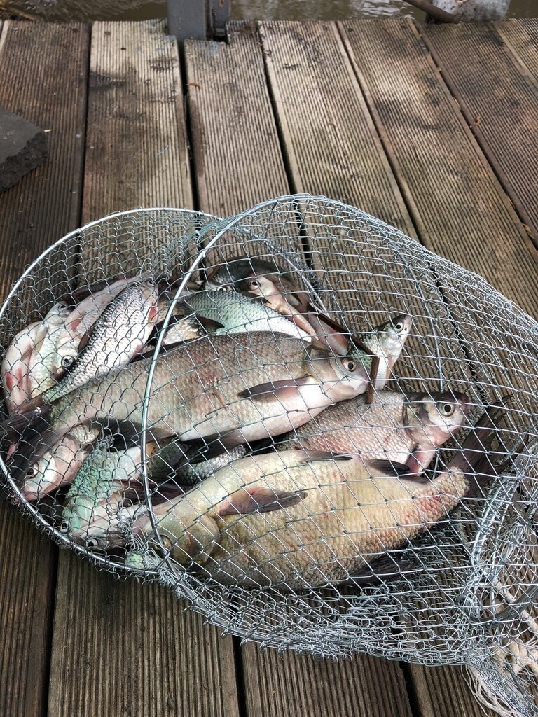 Фото из отзыва от 24.04.2023