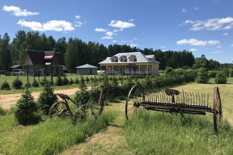 Родное, Новгородская область: фото 2