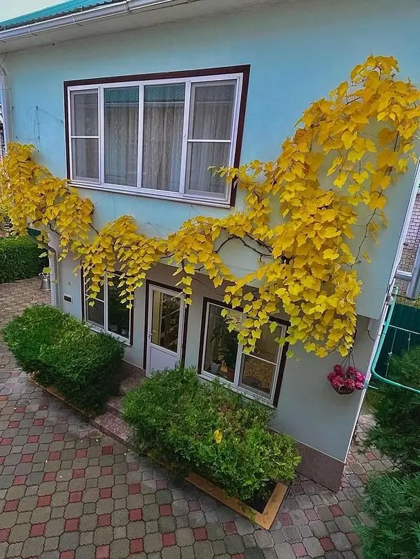 Элис, Краснодарский край: фото 3