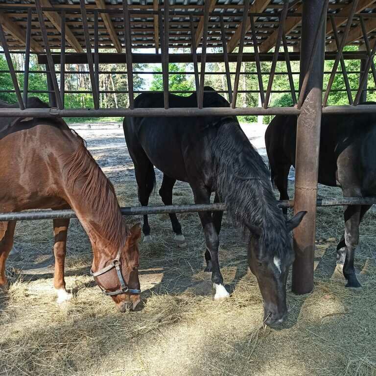 Фото из отзыва от 27.05.2023