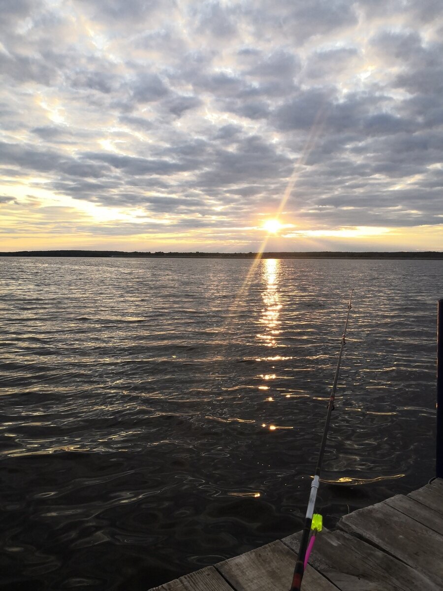 Фото 6 из отзыва о базе отдыха Фокино-Приволжье