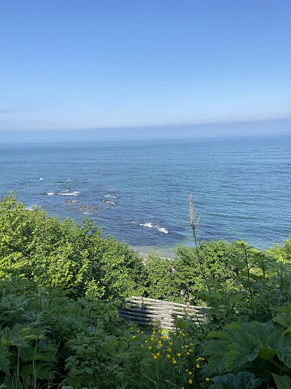 Фото из отзыва от 17.06.2023