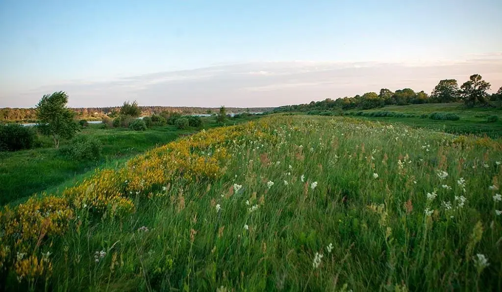 Травы | Дубки, Нижегородская область
