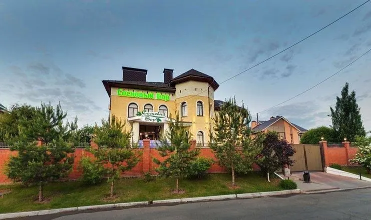 Сосновый бор, Республика Удмуртия: фото 2