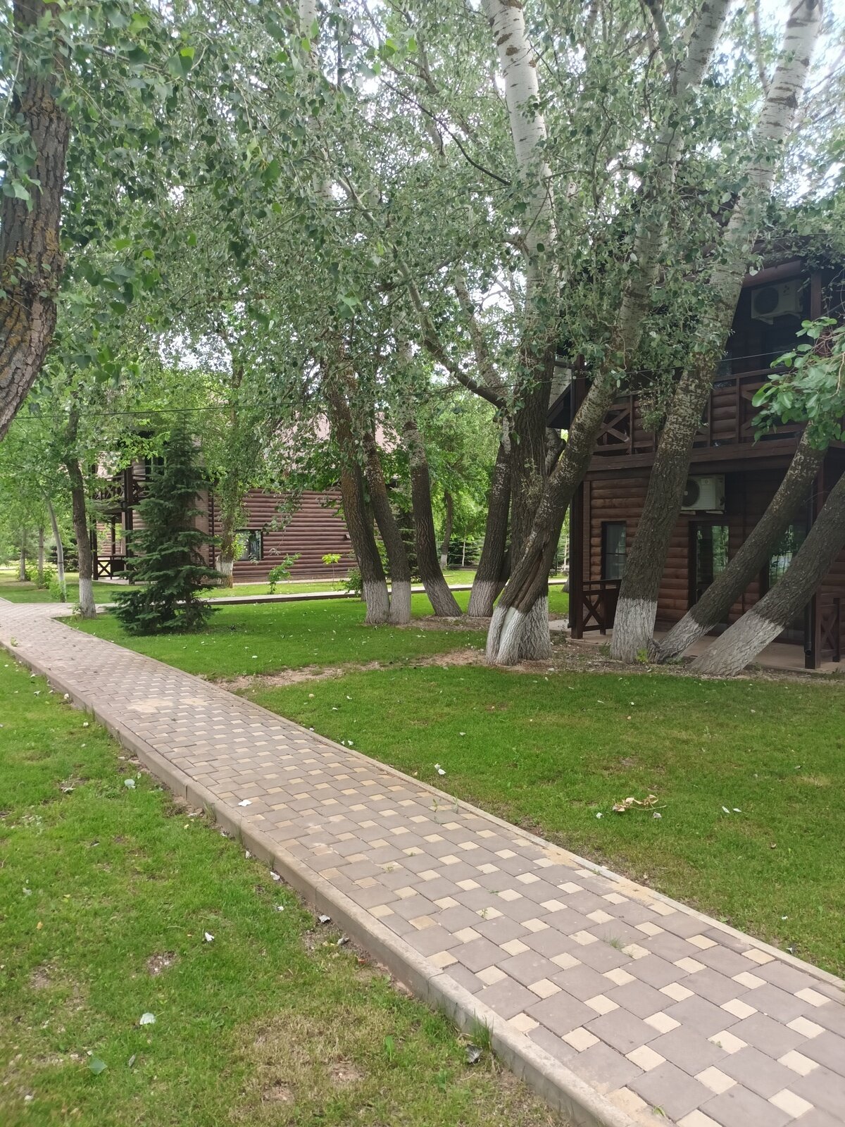 Фото 19 из отзыва о базе отдыха Семейный дворик