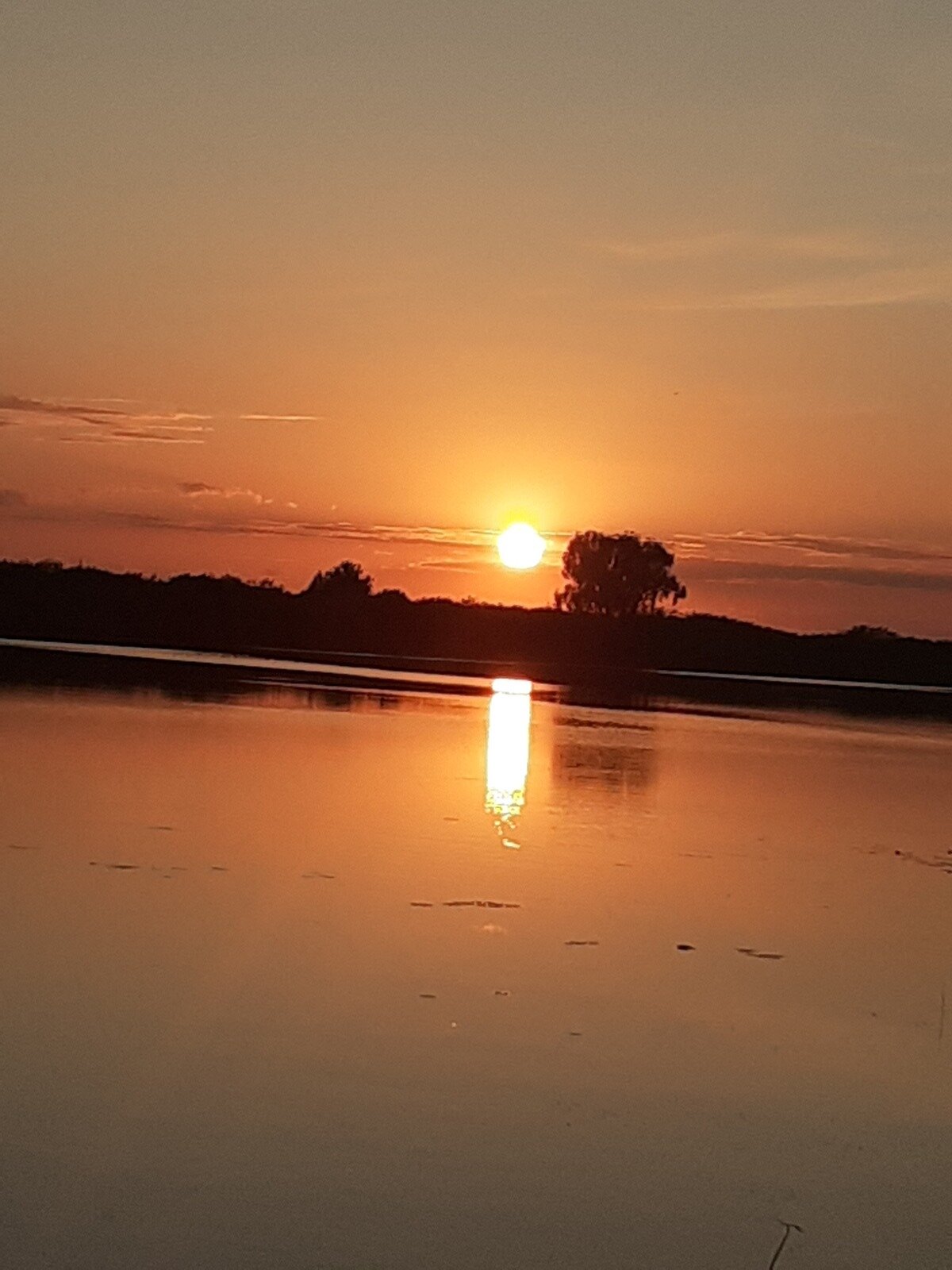 Фото 6 из отзыва о загородном клубе Прибрежный