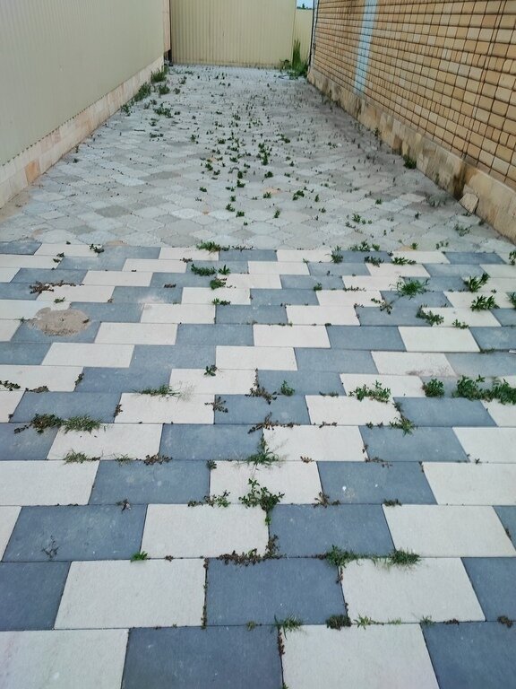 Фото из отзыва от 08.07.2023