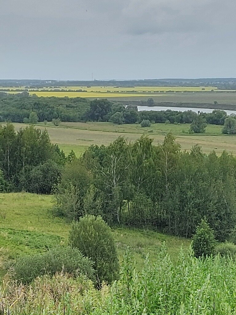 Фото из отзыва от 10.07.2023