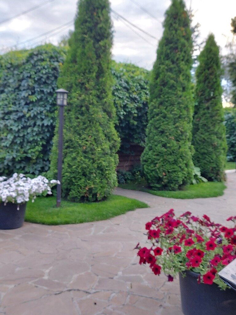 Фото из отзыва от 10.07.2023