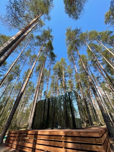 Forest Lake, Ленинградская область: фото 2