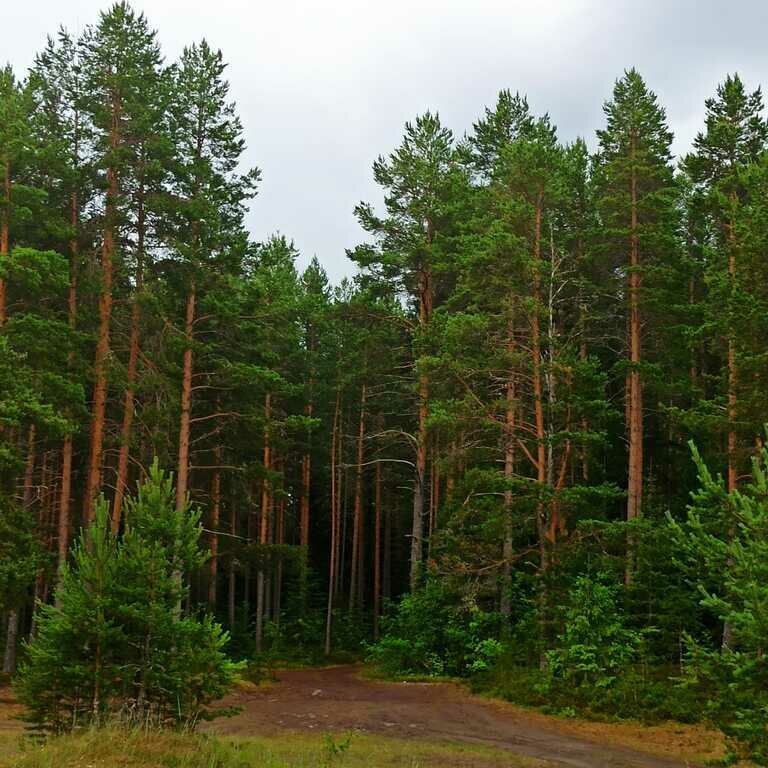 Фото из отзыва от 14.07.2023