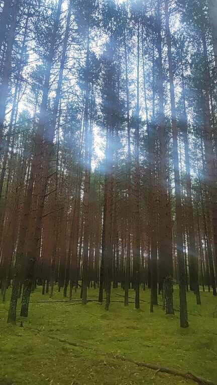 Фото из отзыва от 14.07.2023