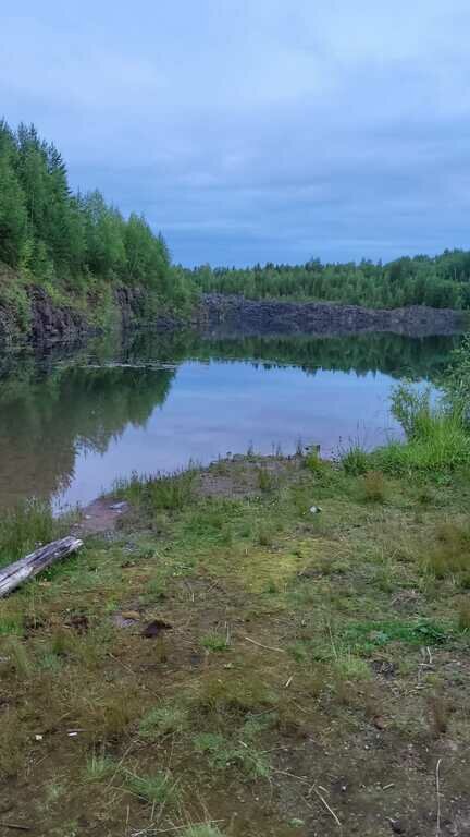 Фото из отзыва от 14.07.2023