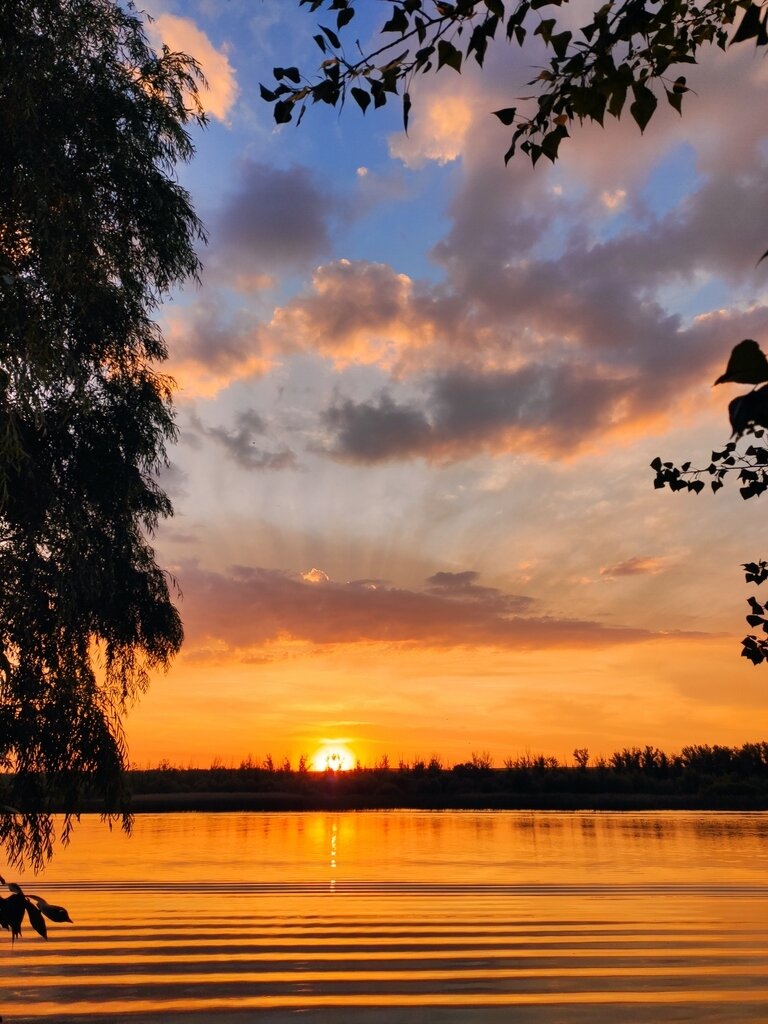 Фото из отзыва от 25.07.2023