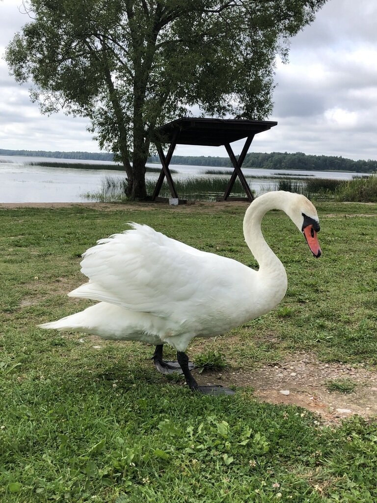 Фото из отзыва от 20.07.2023