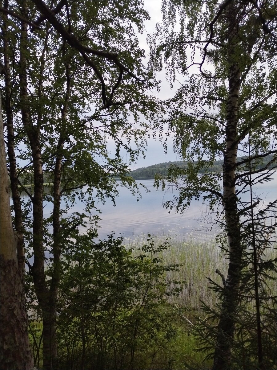 Фото 17 из отзыва о лесном отеле Янисъярви