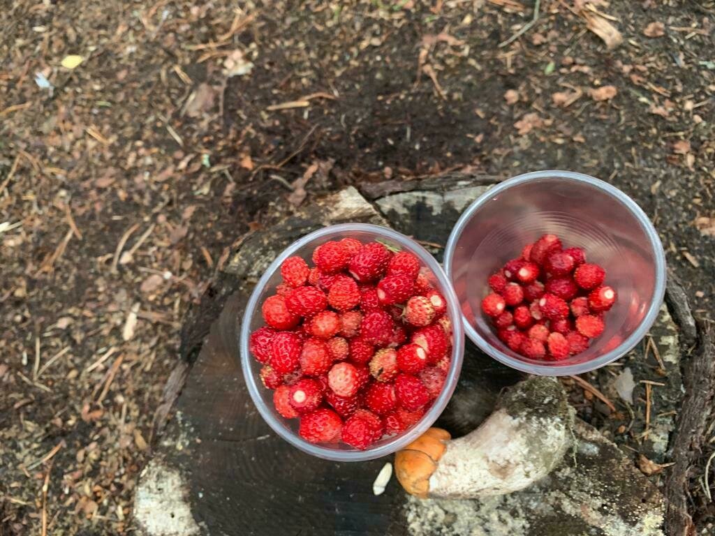 Фото 15 из отзыва о лесном отеле Янисъярви