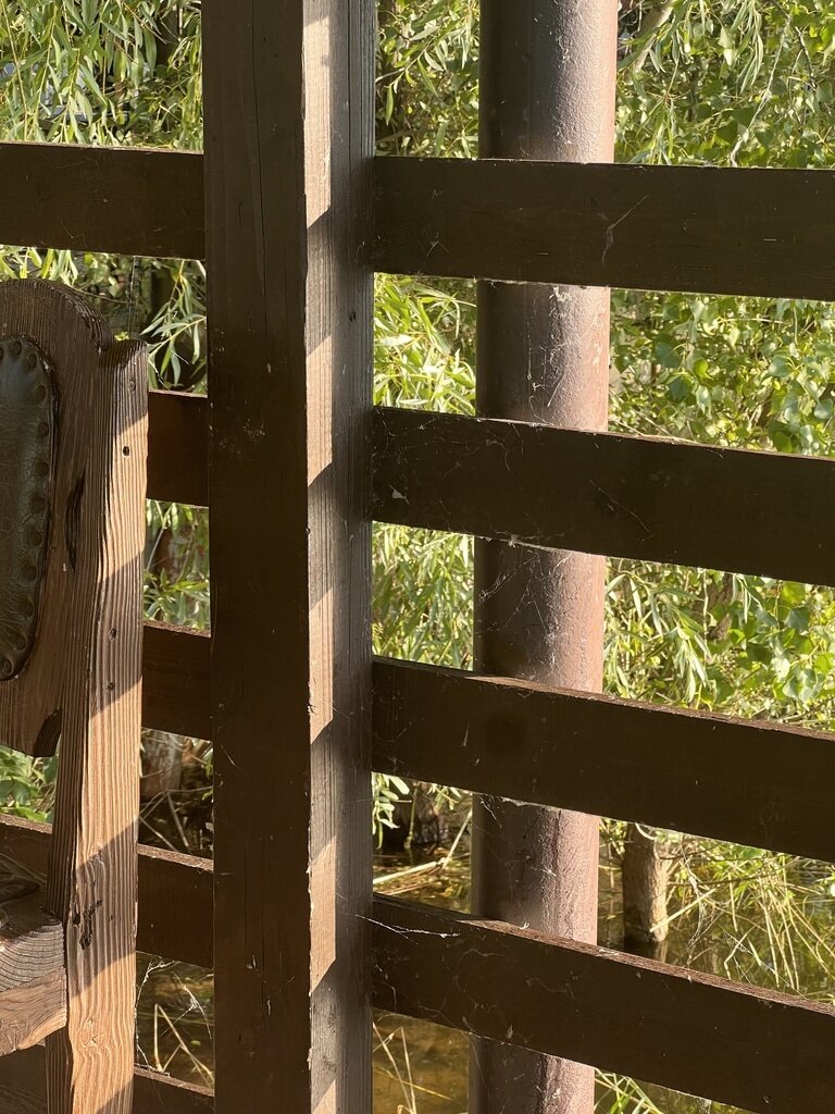 Фото из отзыва от 30.07.2023