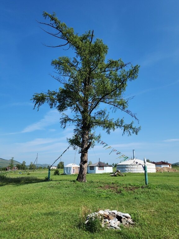 Фото из отзыва от 02.08.2023