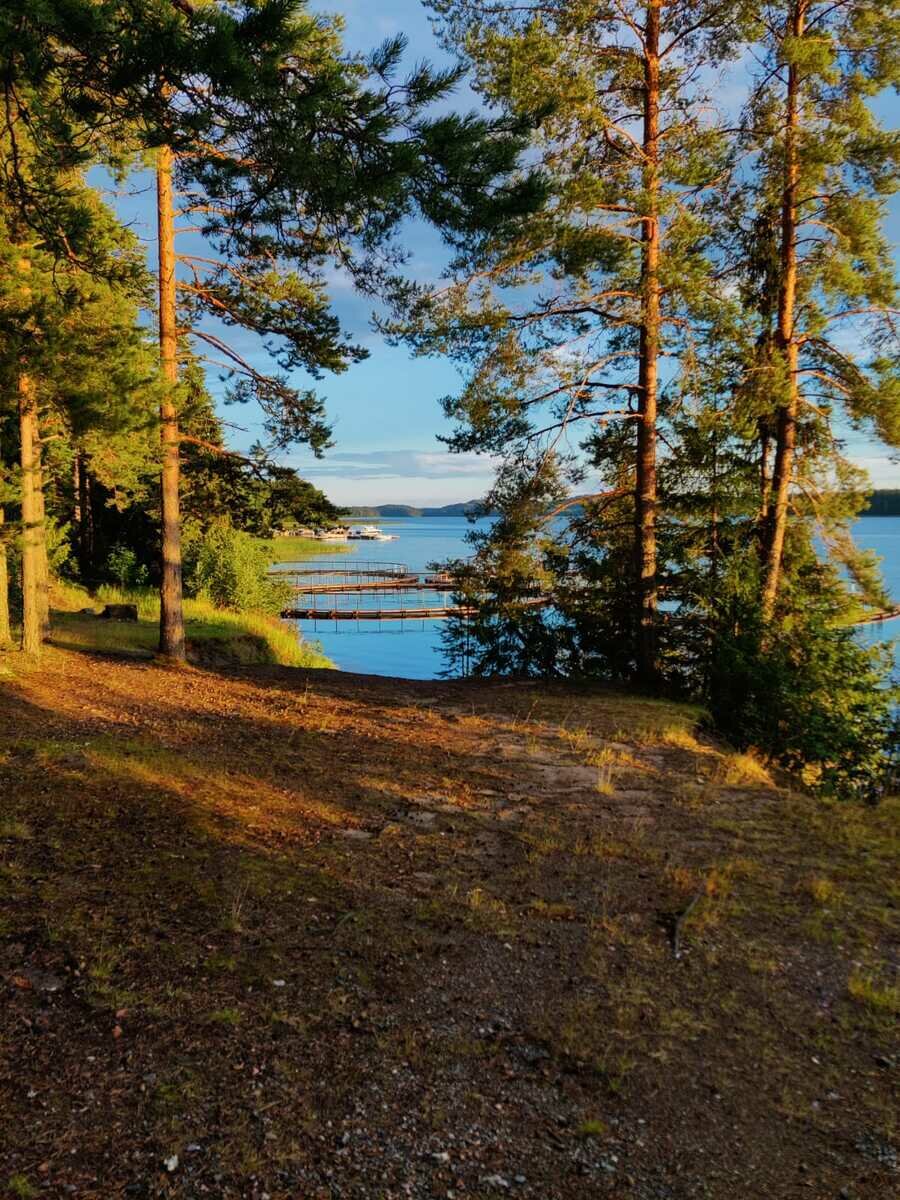 Фото 5 из отзыва о базе отдыха Арсенал