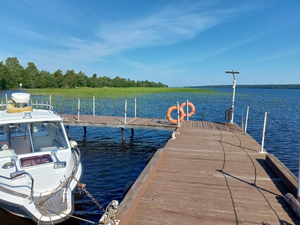 Фото из отзыва от 01.08.2023