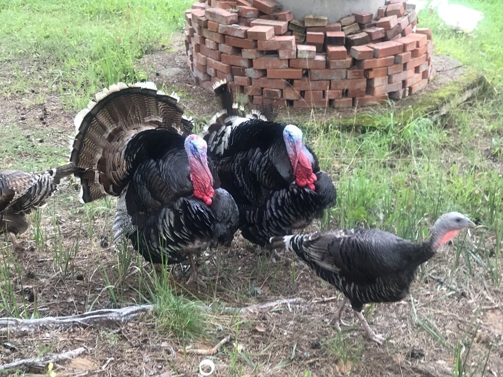 Фото из отзыва от 08.08.2023