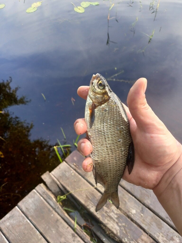 Фото из отзыва от 02.08.2023