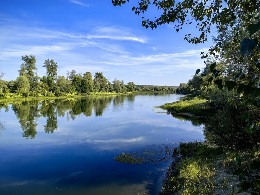 Фото из отзыва от 09.08.2023