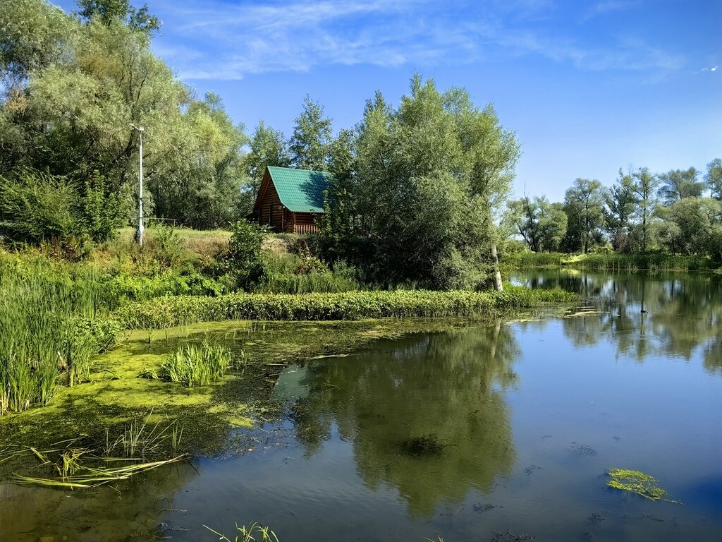 Фото из отзыва от 09.08.2023