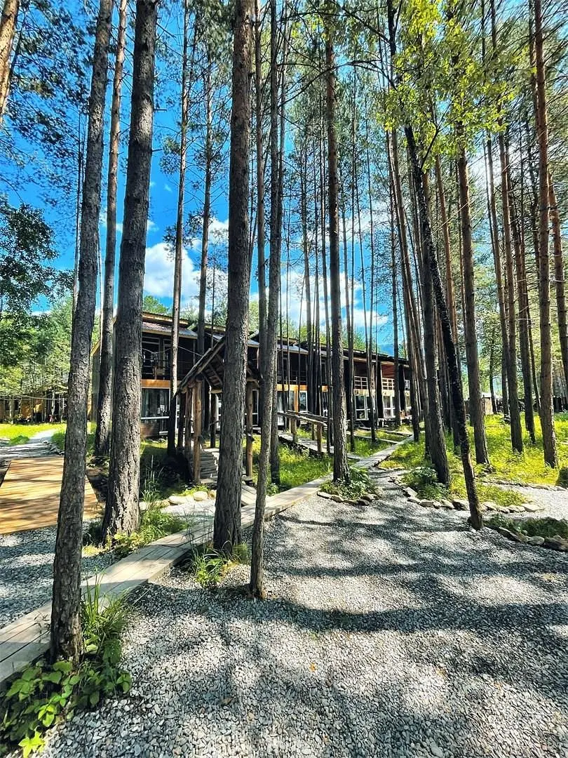Сила Алтая, Горный Алтай (Республика Алтай): фото 4