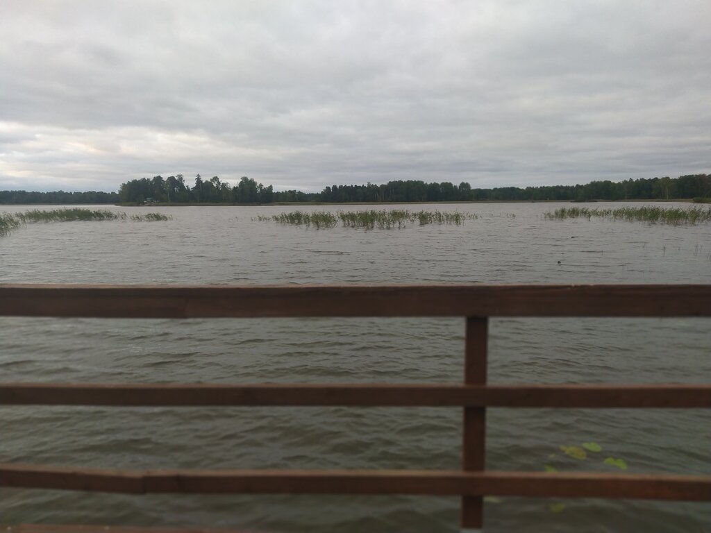 Фото из отзыва от 18.08.2023