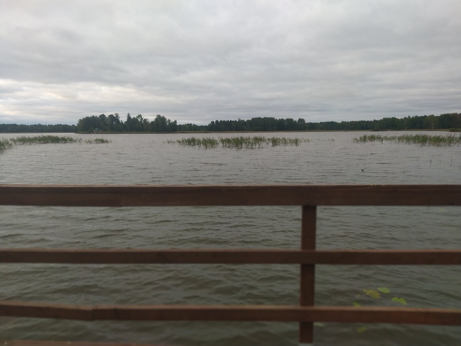 Фото 9 из отзыва о коттеджном комплексе Плотвичкина заводь